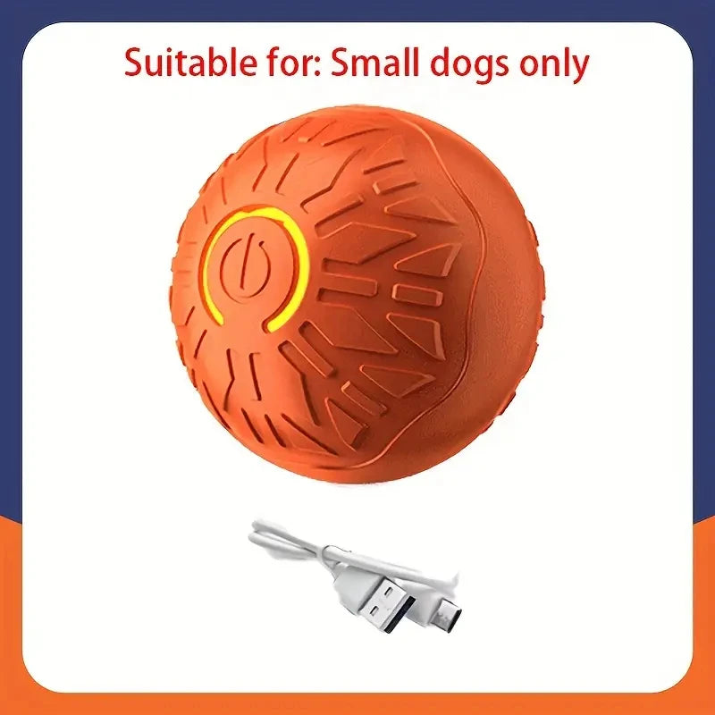 Balle Interactive Électronique pour Chien & Chat — USB Rechargeable