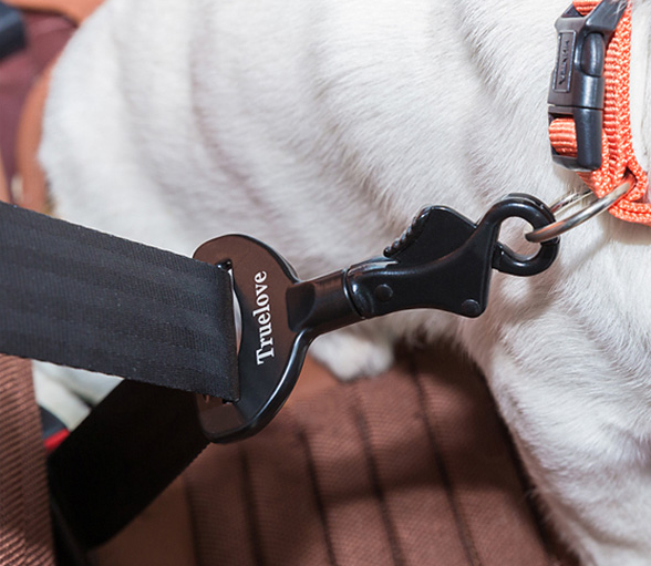 Ceinture de Sécurité pour Chien – Sécurité & Confort en Voiture