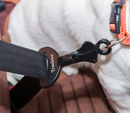 Ceinture de Sécurité pour Chien – Sécurité & Confort en Voiture