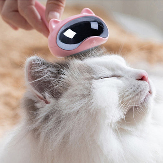 brosse de toilettage spatiale pour chiens et chats