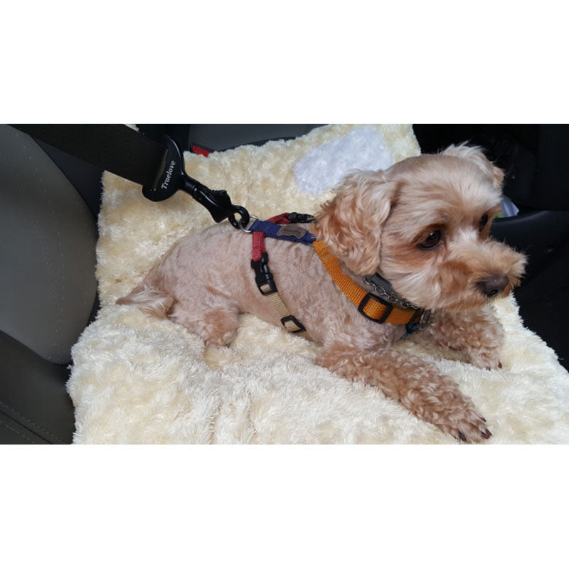 Ceinture de Sécurité pour Chien – Sécurité & Confort en Voiture