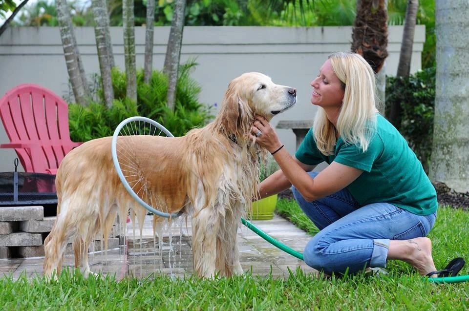 Anneau de Bain pour Chien avec Jet d'Eau Circulaire