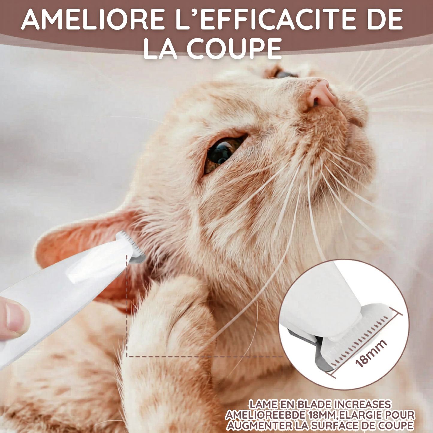 Tondeuse pour pattes de chien avec lumière LED, entièrement étanche, tondeuse à poils pour animaux de compagnie avec écran LED, tondeuse pour toilettage des chiens, lame large de 18 mm