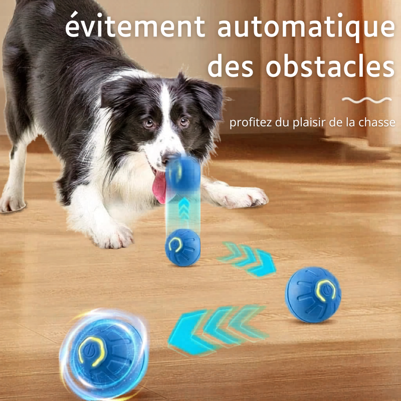 Balle Interactive Électronique pour Chien & Chat — USB Rechargeable