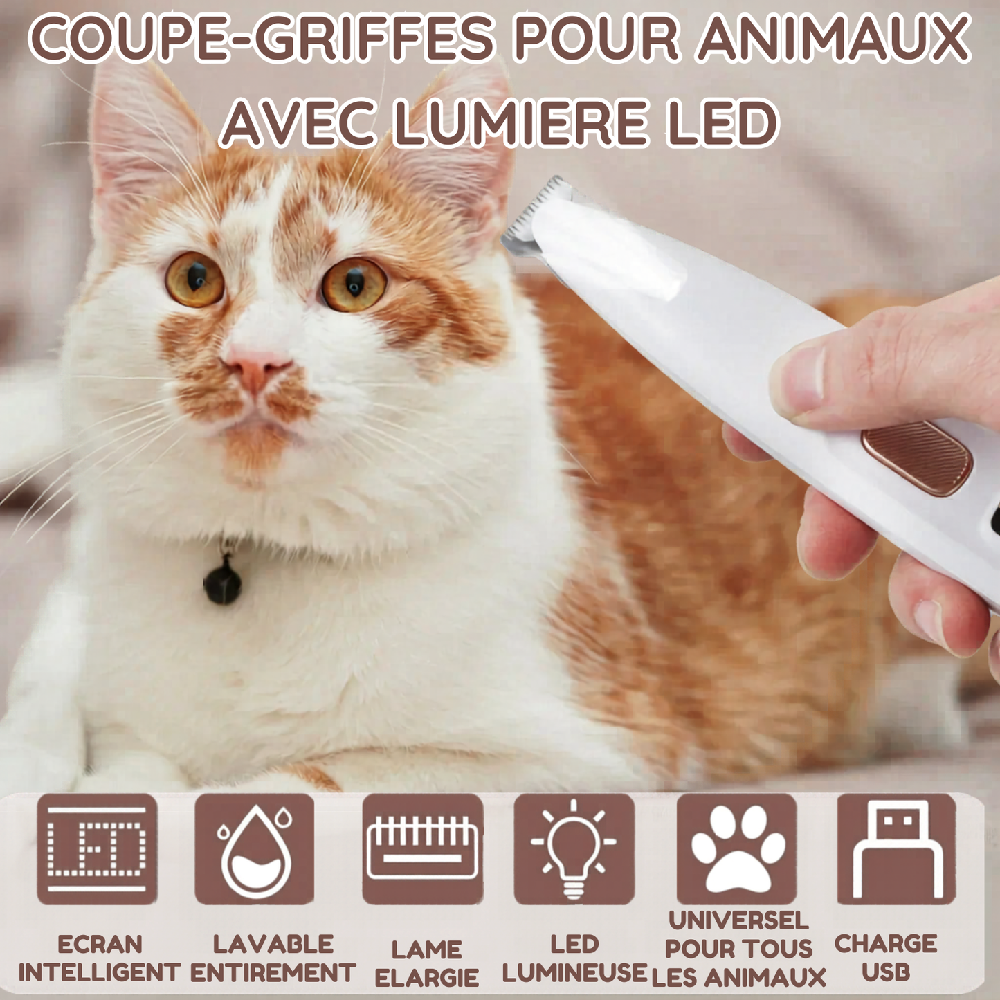 Tondeuse pour pattes de chien avec lumière LED, entièrement étanche, tondeuse à poils pour animaux de compagnie avec écran LED, tondeuse pour toilettage des chiens, lame large de 18 mm