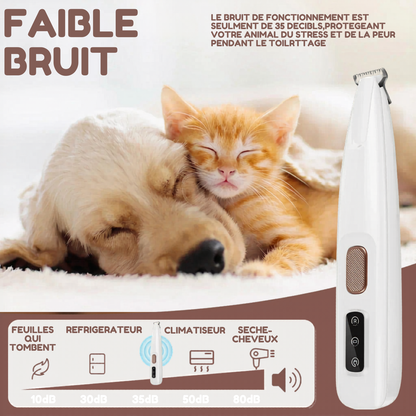 Tondeuse pour pattes de chien avec lumière LED, entièrement étanche, tondeuse à poils pour animaux de compagnie avec écran LED, tondeuse pour toilettage des chiens, lame large de 18 mm
