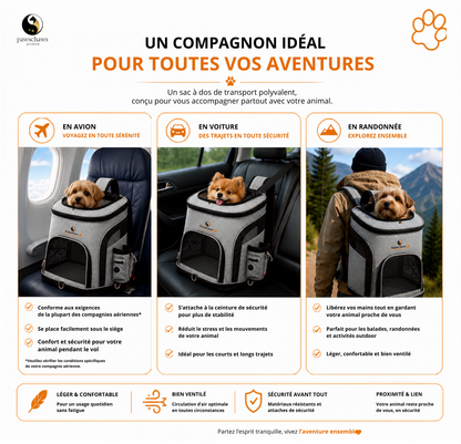 Ouverture supérieure pratique permettant un accès facile à votre chat ou petit chien tout en offrant une vue dégagée.