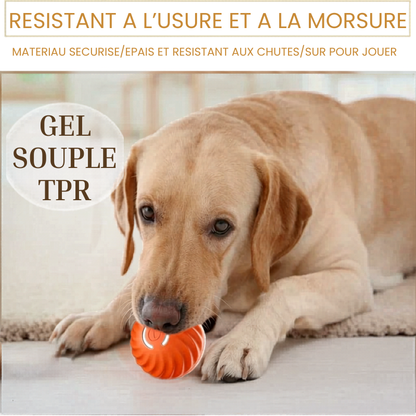 Balle Interactive Électronique pour Chien & Chat — USB Rechargeable