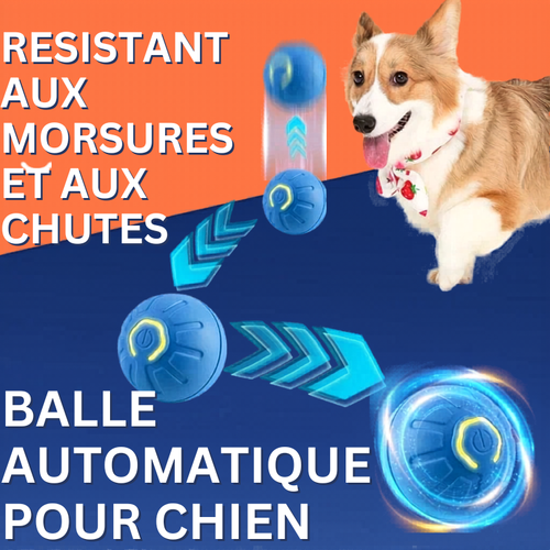 Balle Interactive Électronique pour Chien & Chat — USB Rechargeable