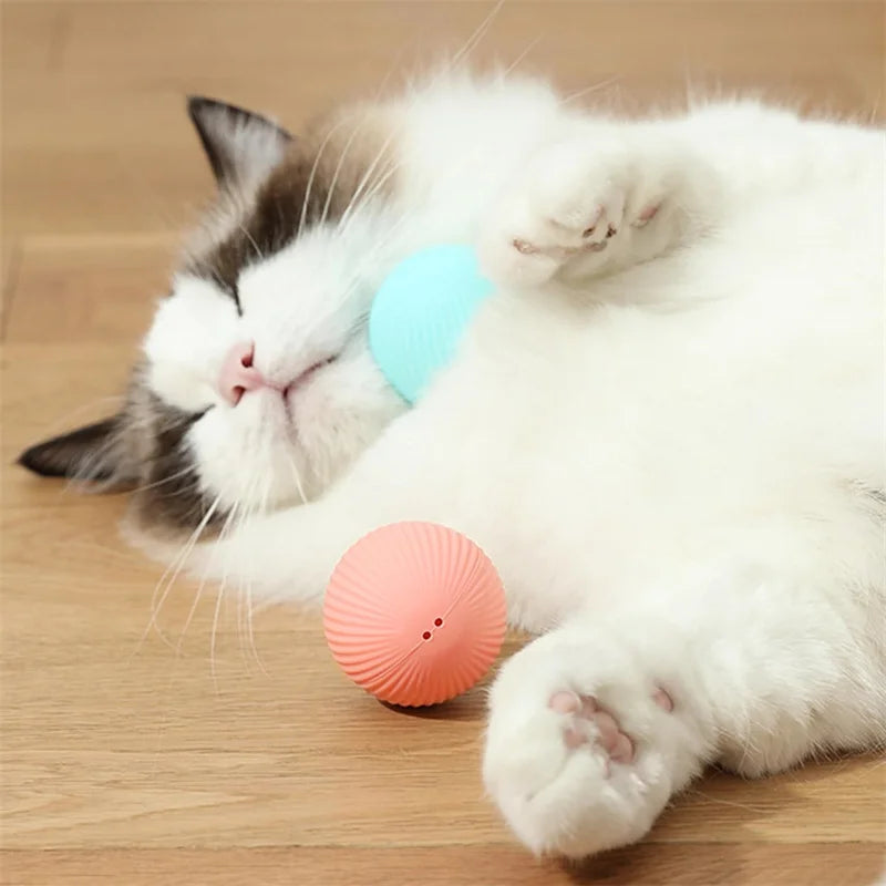 Balle Interactive Électronique pour Chien & Chat — USB Rechargeable