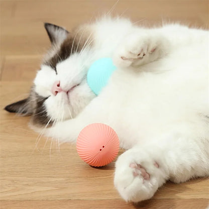Balle Interactive Électronique pour Chien & Chat — USB Rechargeable