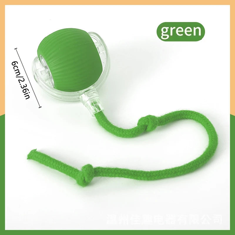 Balle Interactive Électronique pour Chien & Chat — USB Rechargeable