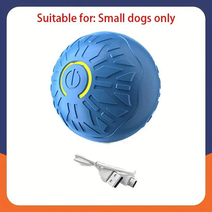 Balle Interactive Électronique pour Chien & Chat — USB Rechargeable