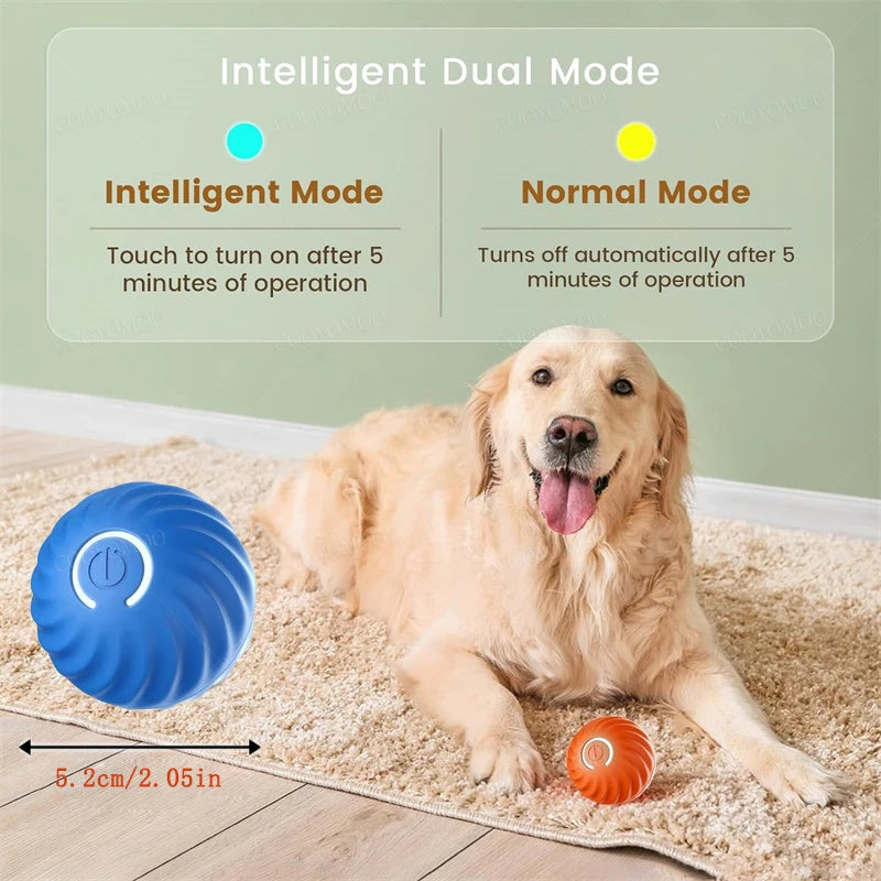 Balle Interactive Électronique pour Chien & Chat — USB Rechargeable