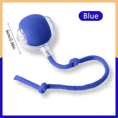Balle Interactive Électronique pour Chien & Chat — USB Rechargeable
