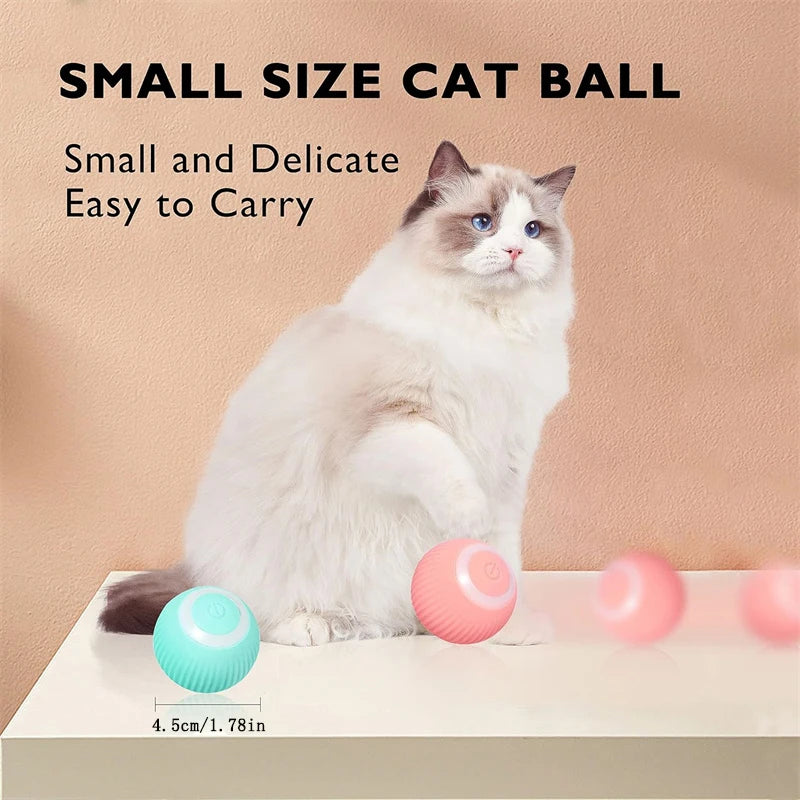 Balle Interactive Électronique pour Chien & Chat — USB Rechargeable