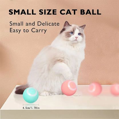 Balle Interactive Électronique pour Chien & Chat — USB Rechargeable