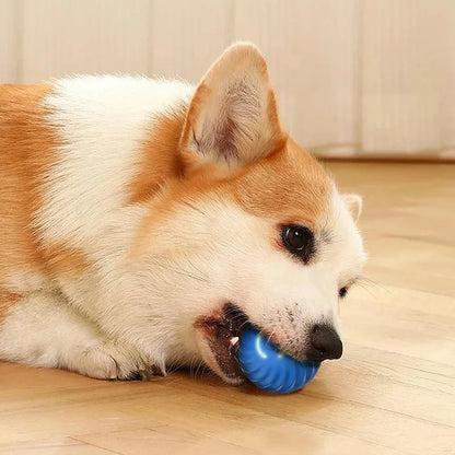 Balle Interactive Électronique pour Chien & Chat — USB Rechargeable