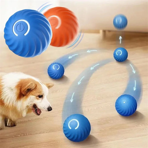Balle Interactive Électronique pour Chien & Chat — USB Rechargeable