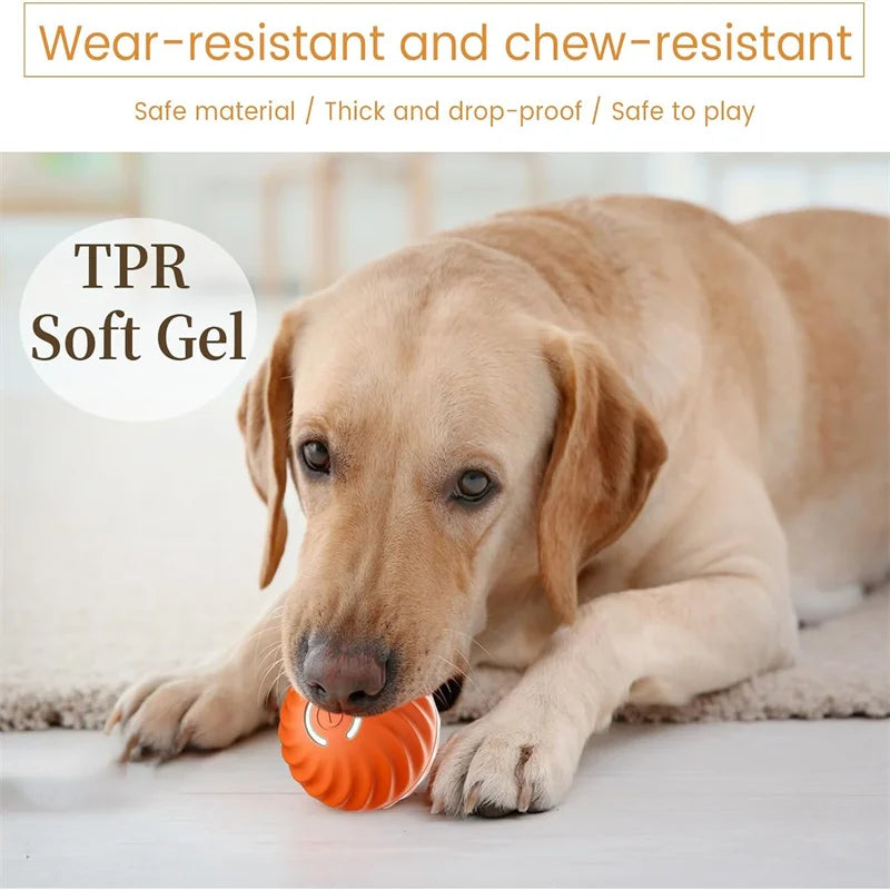 Balle Interactive Électronique pour Chien & Chat — USB Rechargeable