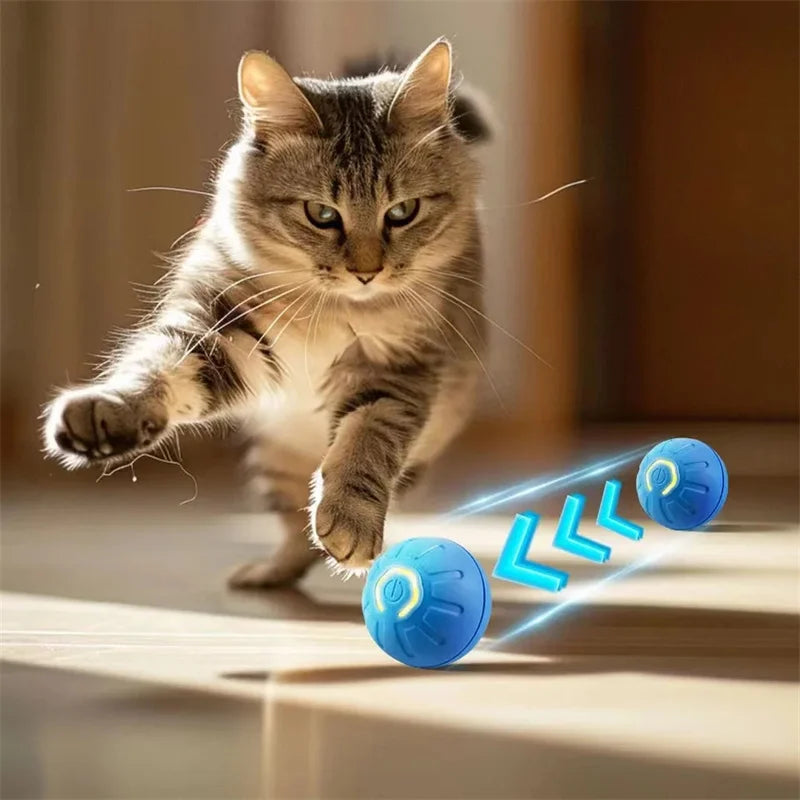 Balle Interactive Électronique pour Chien & Chat — USB Rechargeable