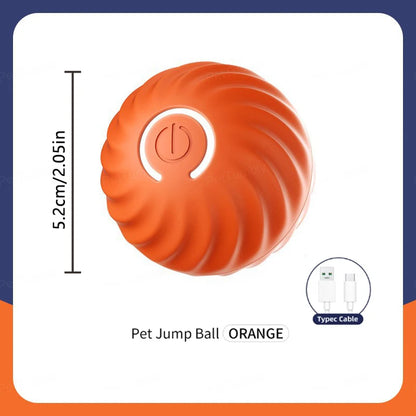 Balle Interactive Électronique pour Chien & Chat — USB Rechargeable