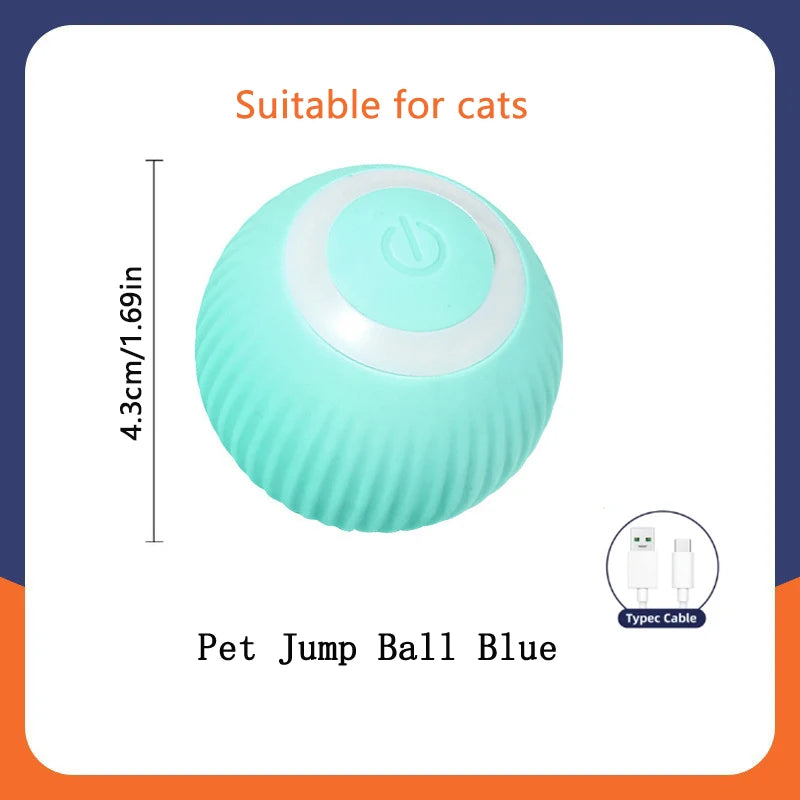 Balle Interactive Électronique pour Chien & Chat — USB Rechargeable