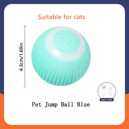 Balle Interactive Électronique pour Chien & Chat — USB Rechargeable