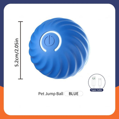 Balle Interactive Électronique pour Chien & Chat — USB Rechargeable