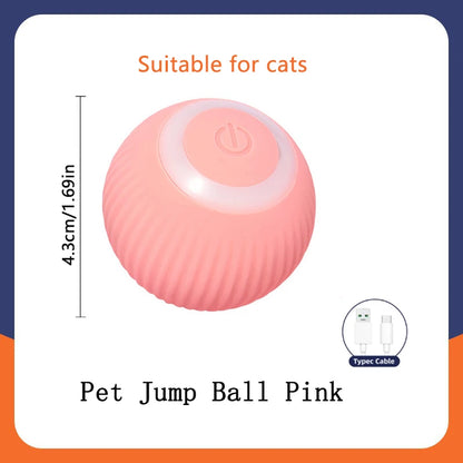 Balle Interactive Électronique pour Chien & Chat — USB Rechargeable