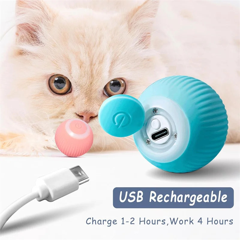 Balle Interactive Électronique pour Chien & Chat — USB Rechargeable