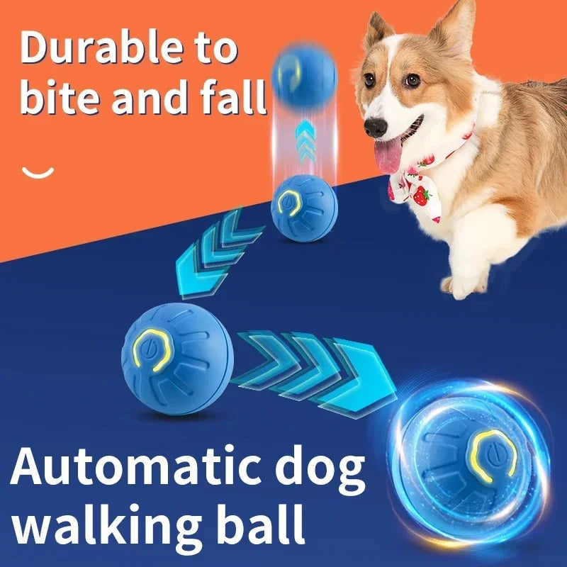 Balle Interactive Électronique pour Chien & Chat — USB Rechargeable
