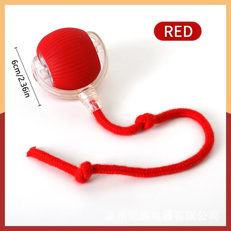 Balle Interactive Électronique pour Chien & Chat — USB Rechargeable