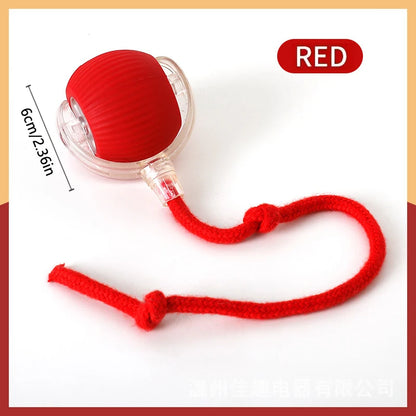 Balle Interactive Électronique pour Chien & Chat — USB Rechargeable