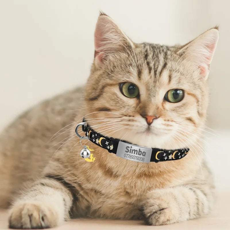 Collier Lumineux Personnalisé pour Chat, Gravure Gratuite, Collier Anti-perte pour Chiot et Chaton avec Plaque d'Identification, Clochette et Ornement Lune