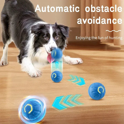 Balle Interactive Électronique pour Chien & Chat — USB Rechargeable