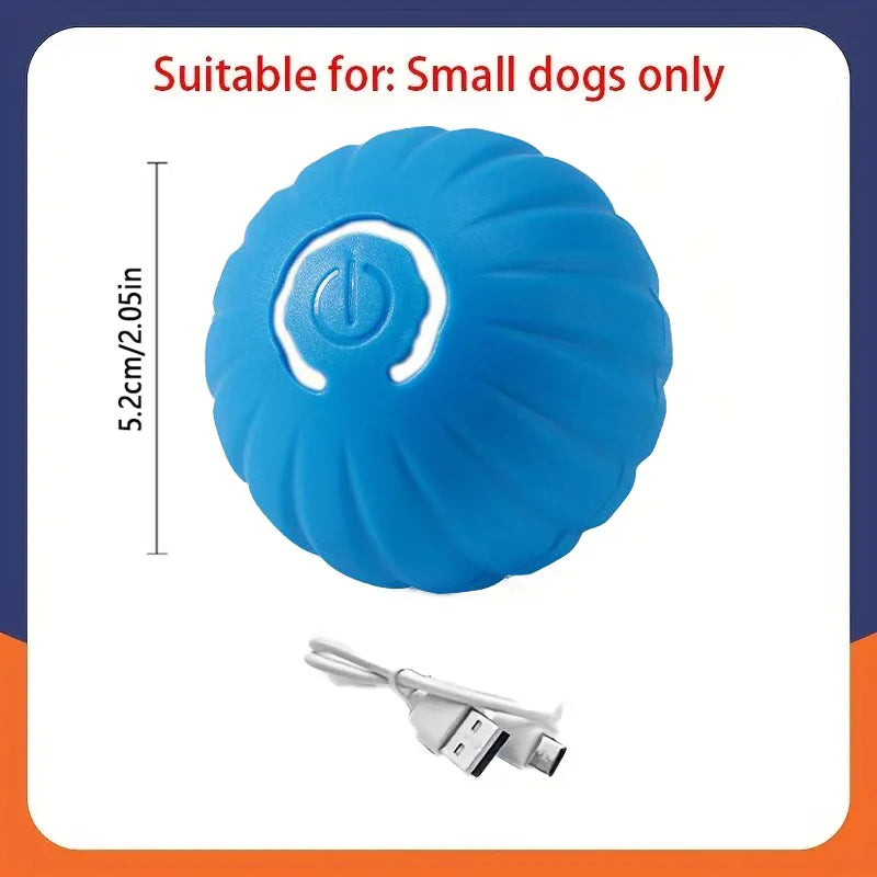 Balle Interactive Électronique pour Chien & Chat — USB Rechargeable