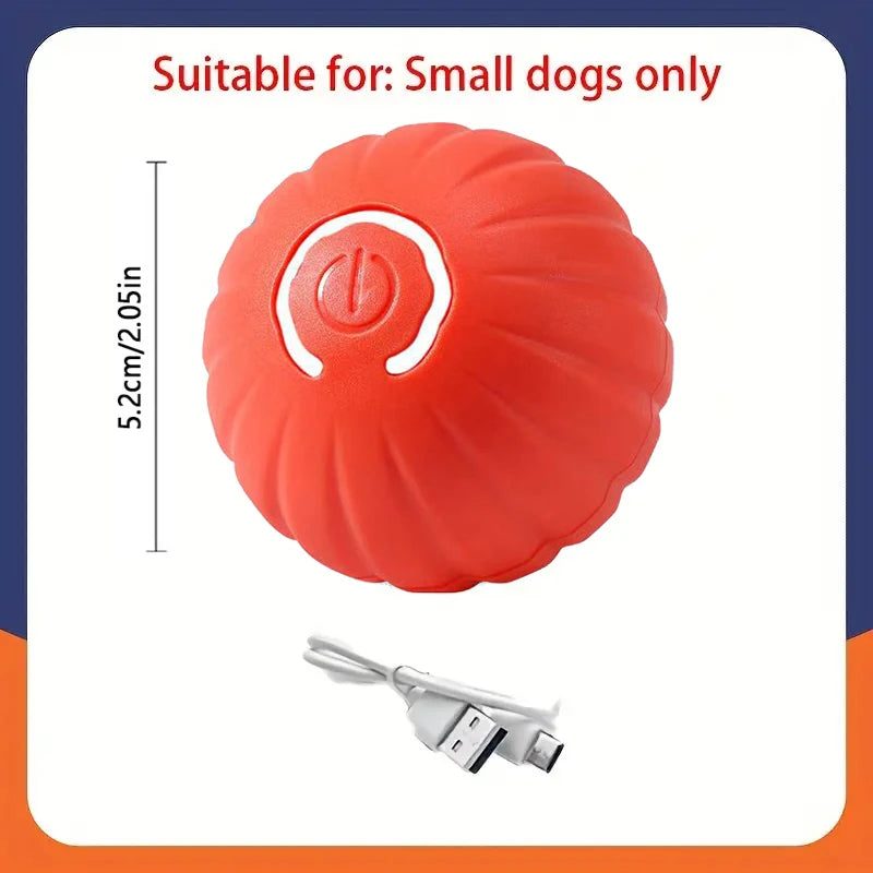 Balle Interactive Électronique pour Chien & Chat — USB Rechargeable
