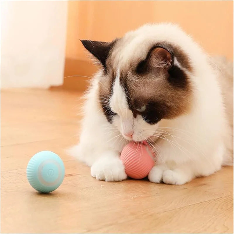 Balle Interactive Électronique pour Chien & Chat — USB Rechargeable