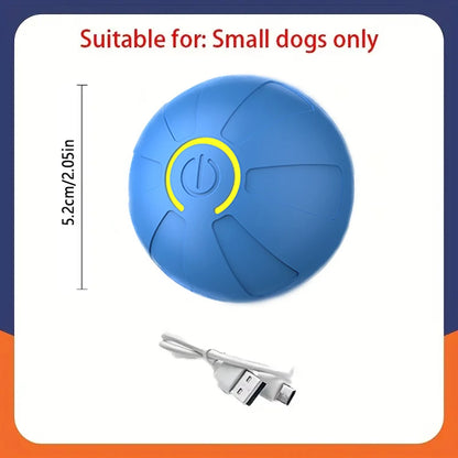 Balle Interactive Électronique pour Chien & Chat — USB Rechargeable
