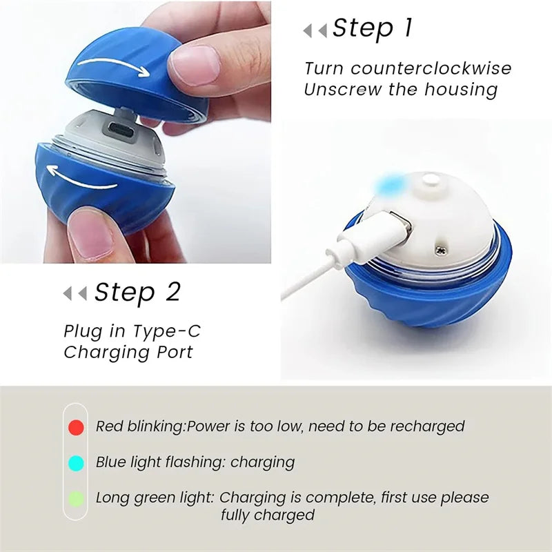 Balle Interactive Électronique pour Chien & Chat — USB Rechargeable
