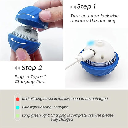 Balle Interactive Électronique pour Chien & Chat — USB Rechargeable
