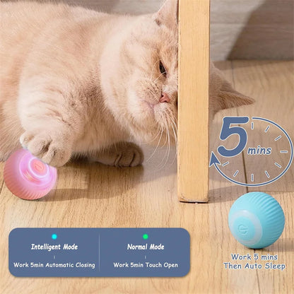 Balle Interactive Électronique pour Chien & Chat — USB Rechargeable