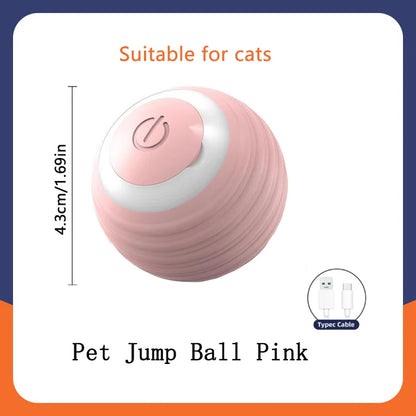 Balle Interactive Électronique pour Chien & Chat — USB Rechargeable