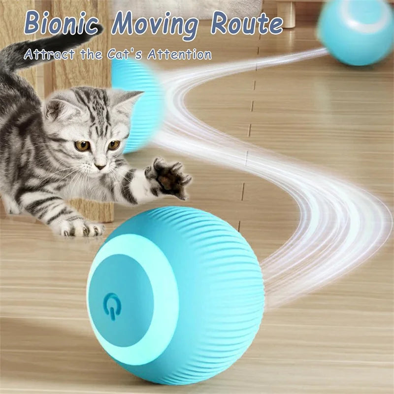 Balle Interactive Électronique pour Chien & Chat — USB Rechargeable