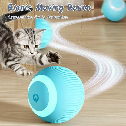Balle Interactive Électronique pour Chien & Chat — USB Rechargeable