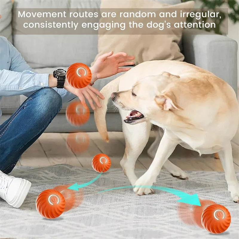 Balle Interactive Électronique pour Chien & Chat — USB Rechargeable