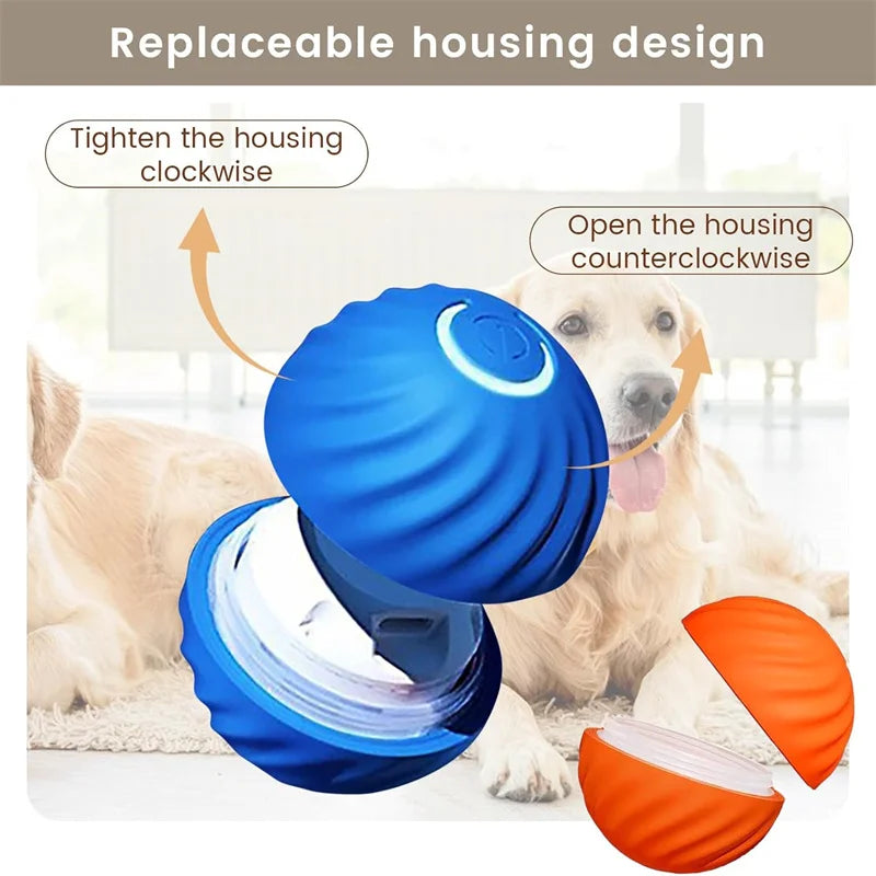 Balle Interactive Électronique pour Chien & Chat — USB Rechargeable