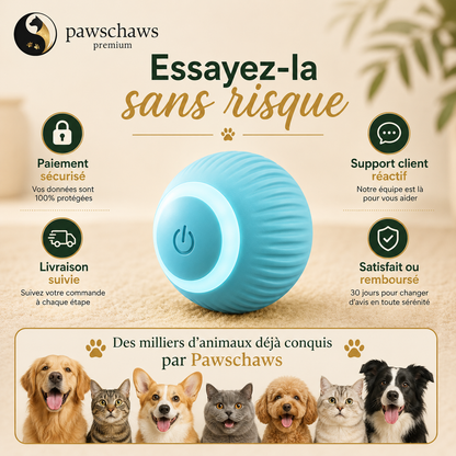 Guide de chargement USB Type-C de la balle interactive pour animaux.