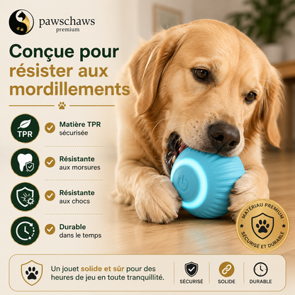 Chien jouant avec une balle automatique résistante aux morsures.